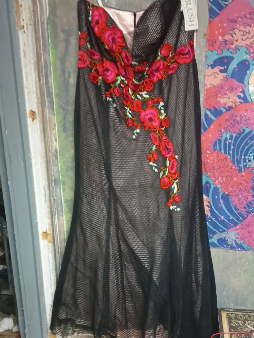 Blush Black Mesh Dress with Red & Pink Floral Embroidery